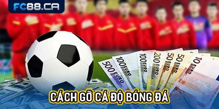 Cách gỡ cá độ bóng đá