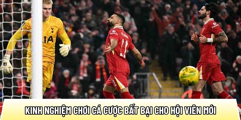 Kinh nghiệm chơi cá cược bất bại cho anh em hội viên mới